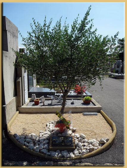 L'olivier des disparus